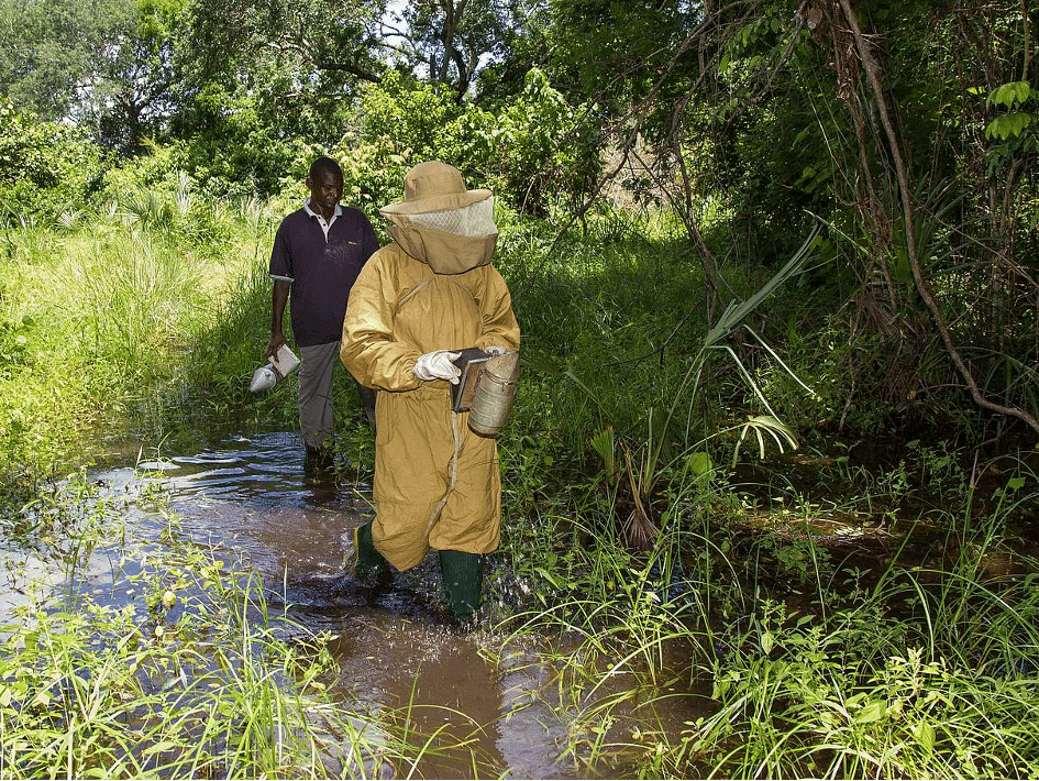 Imker in Tansania.png